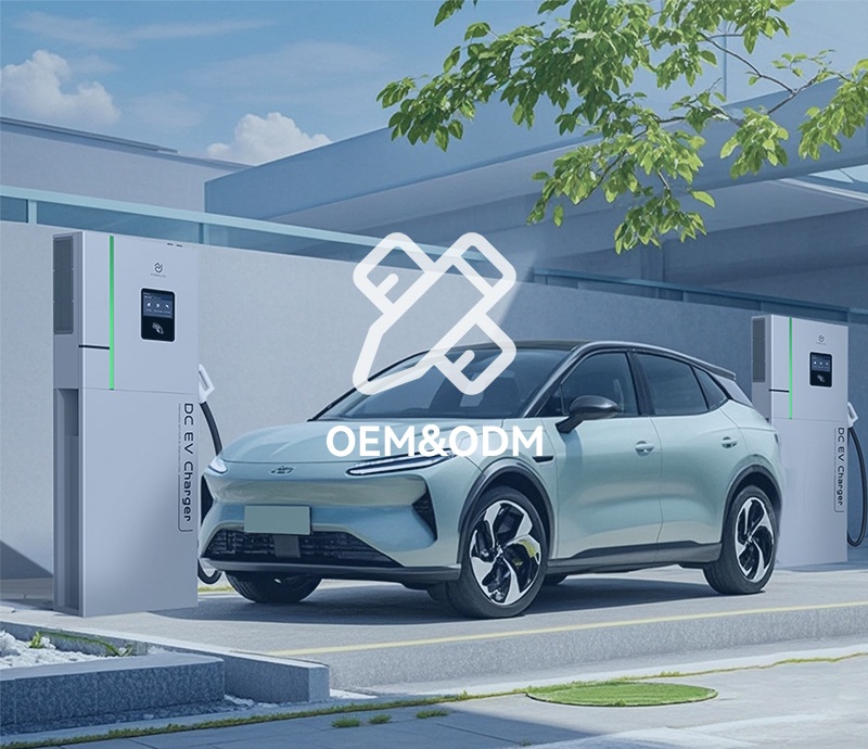 OEM & ODM Customization